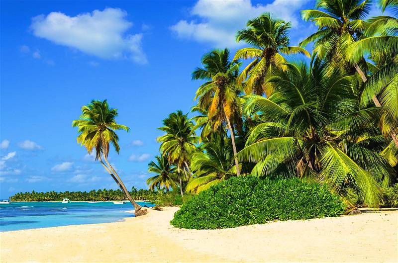 Caribbean Tourism Remains Strong, Resilient
