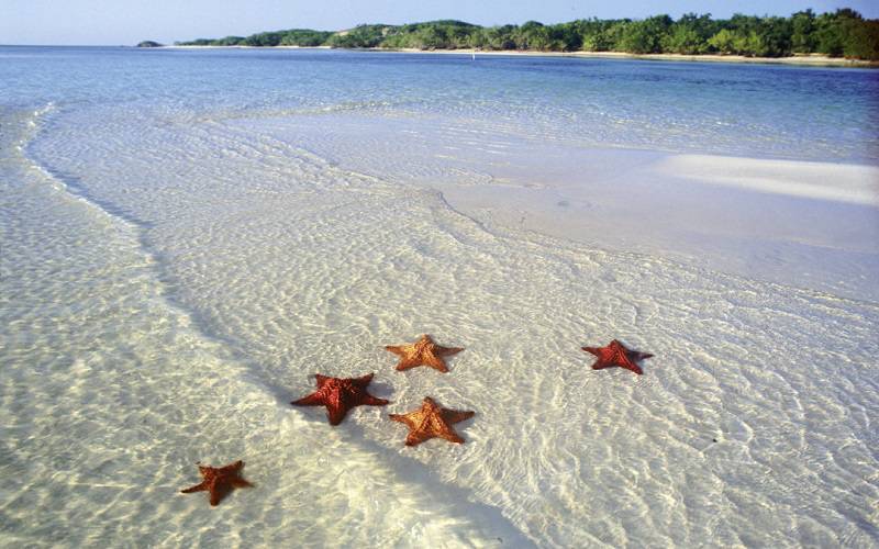 Mexico Touts the Riviera Maya before 350 American Travel Agents