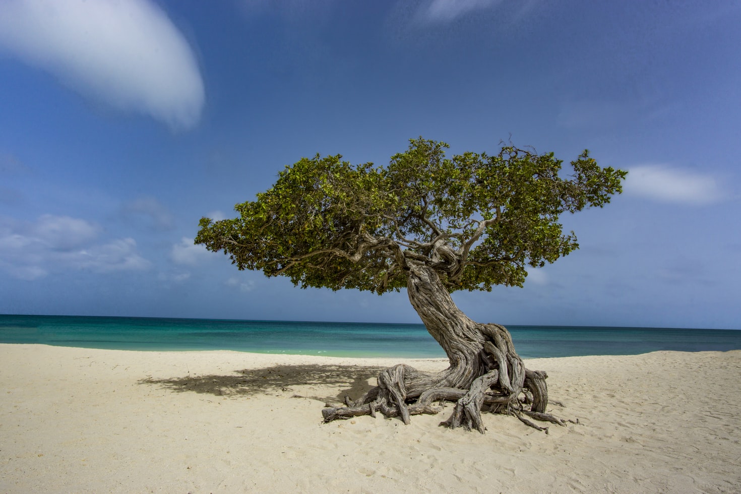 Aruba