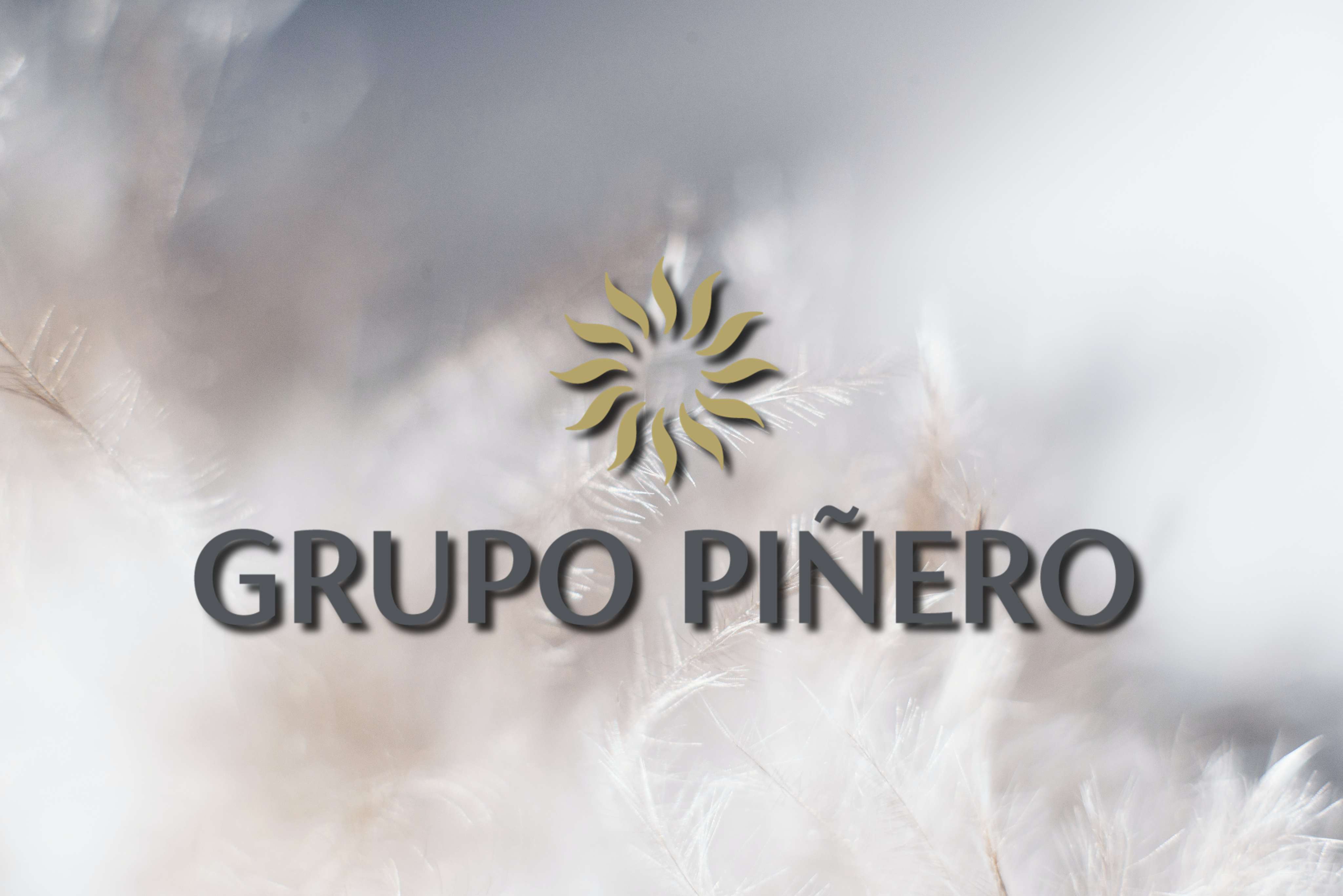 Grupo Piñero
