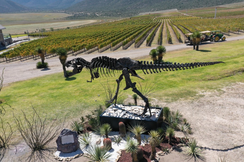 view of Vinos & Dinos Route in Coahuila, Mexico