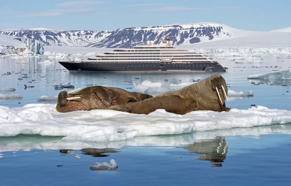 Arctic cruises