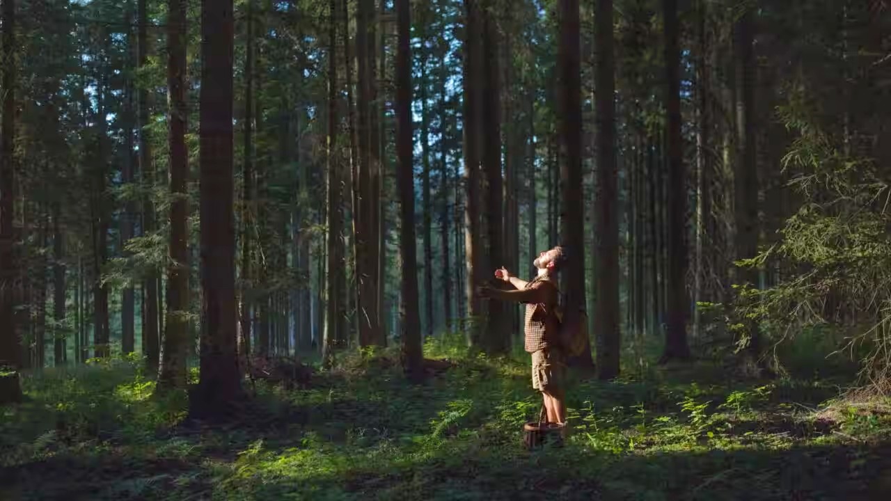 Shinrin-Yoku
