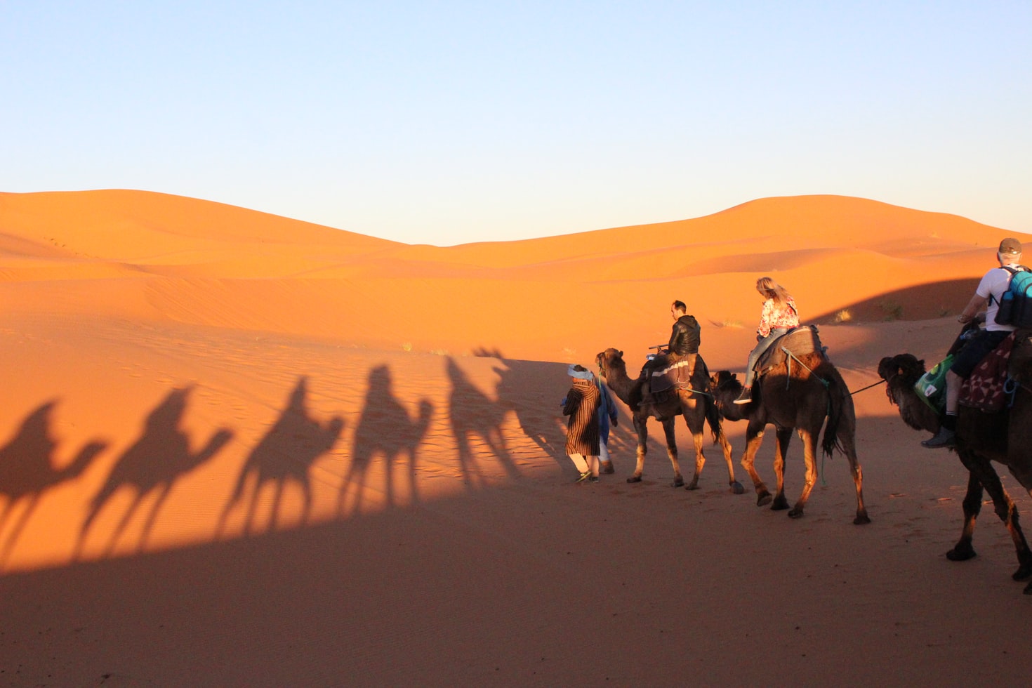 guided tours