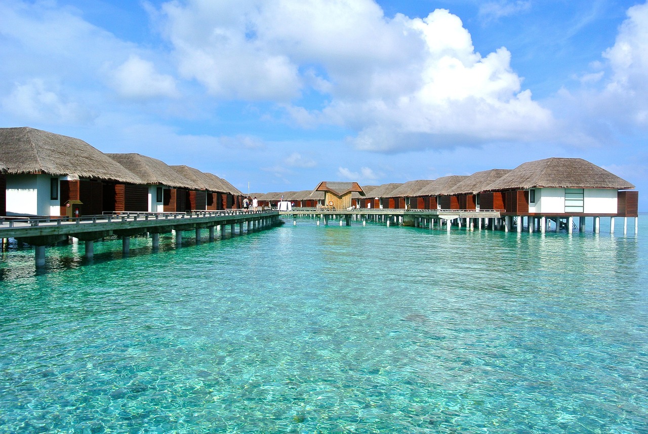 Travel Trends 2025