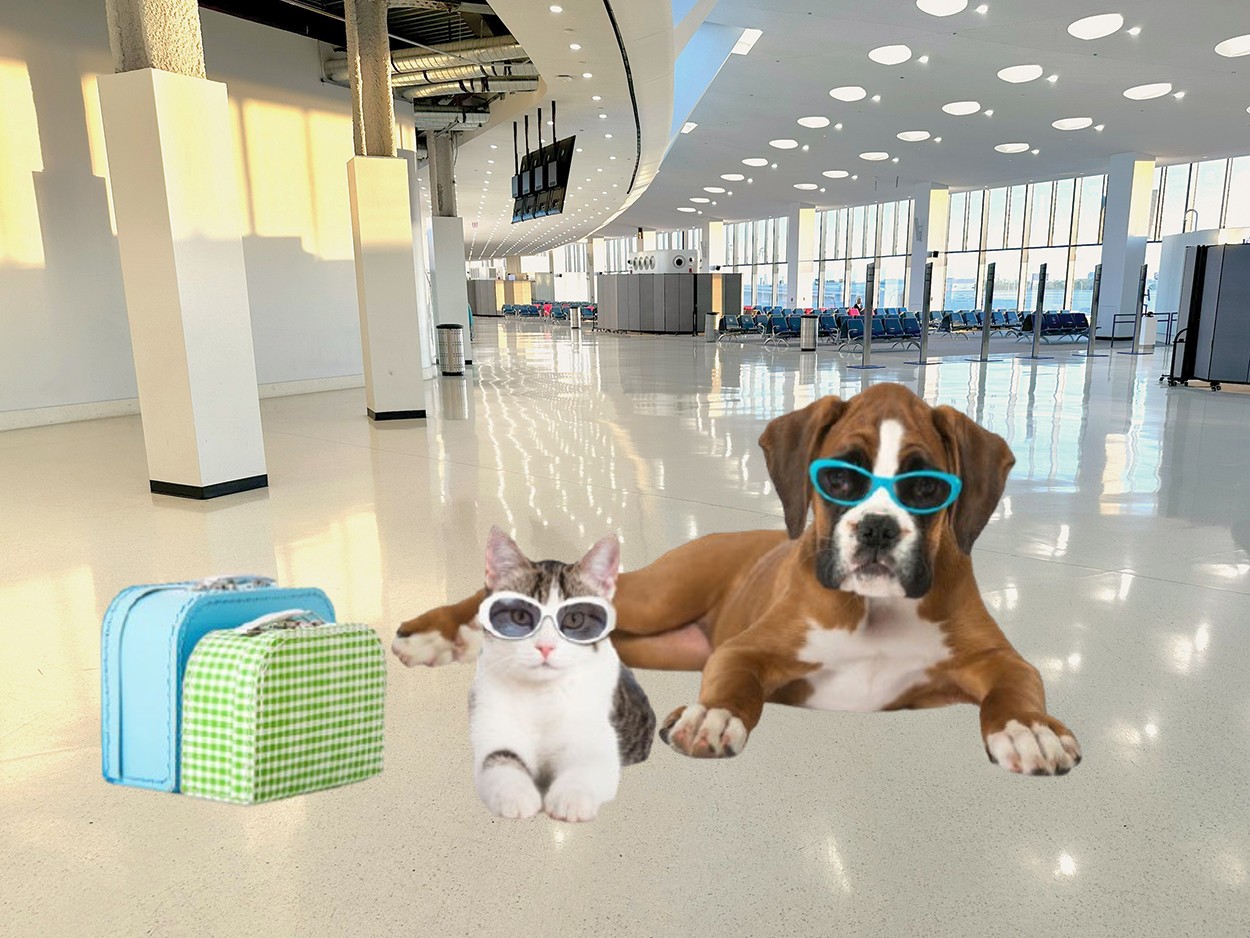 Pet Travel