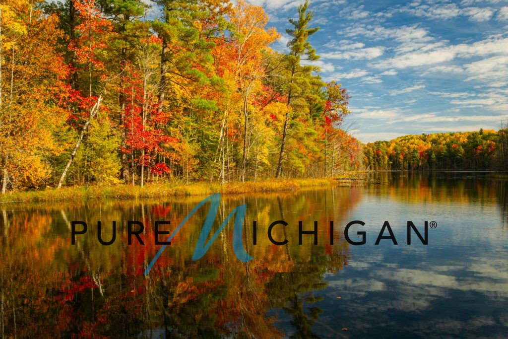 Pure Michigan