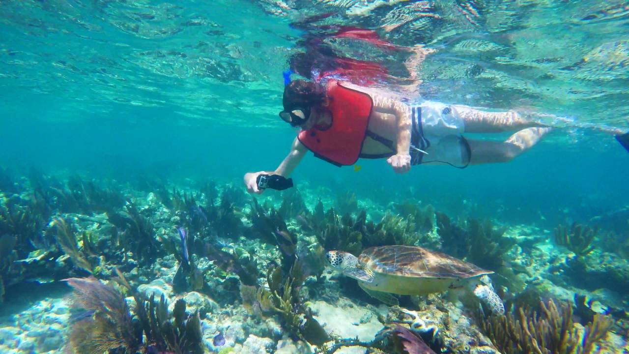 John Pennekamp Coral Reef