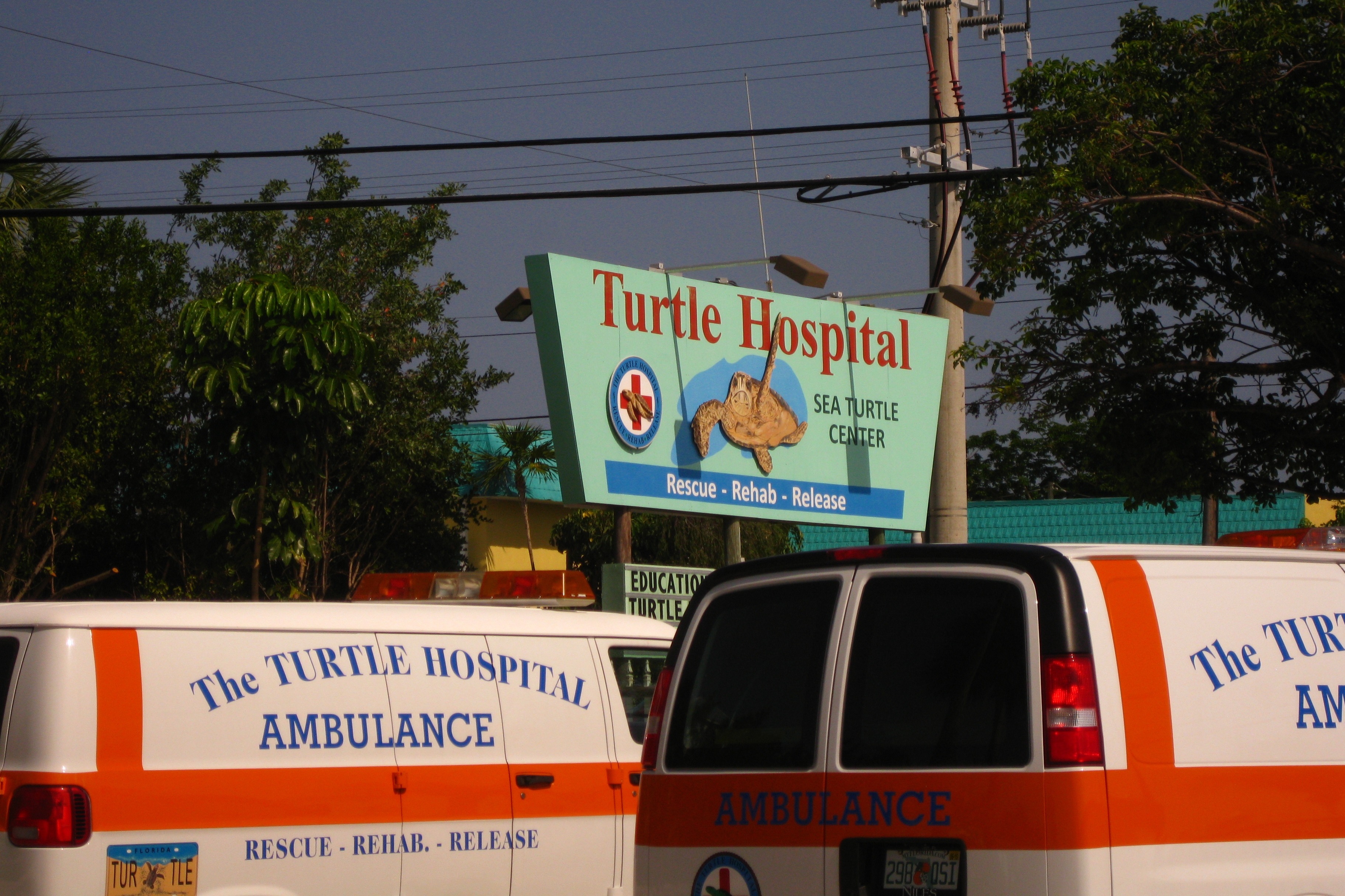 The Turtle Hospital