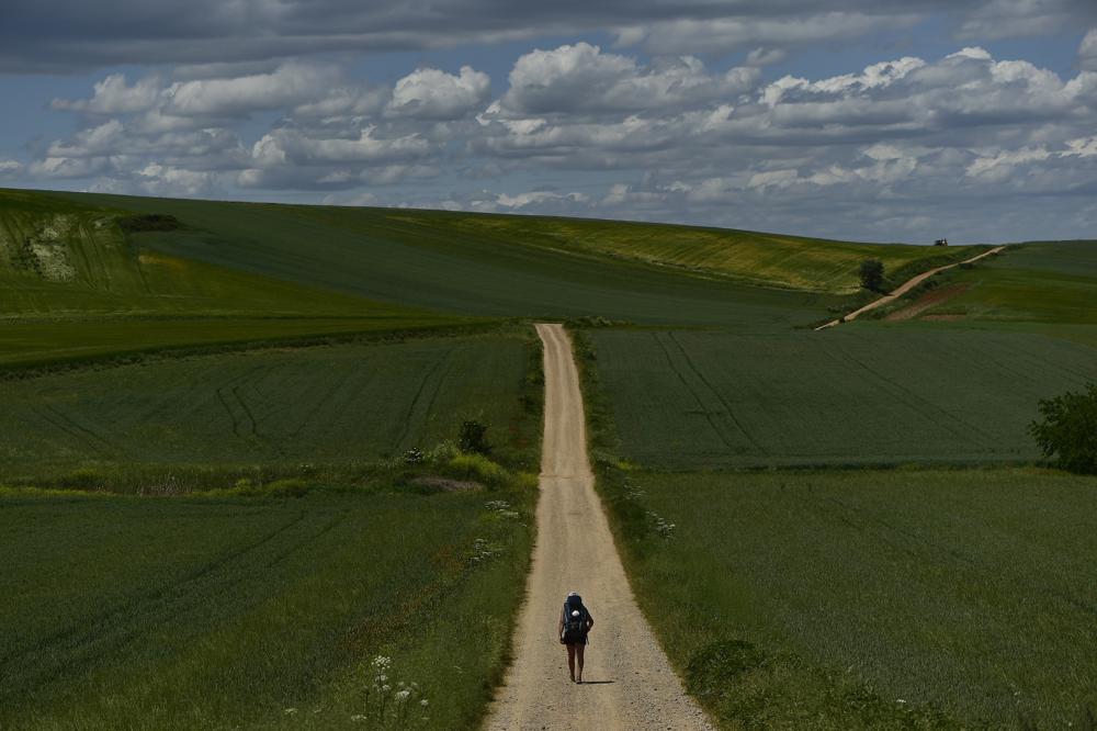 Camino de Santiago