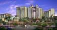 Wyndham Reports $73 Million in the Fourth Quarter of 2009