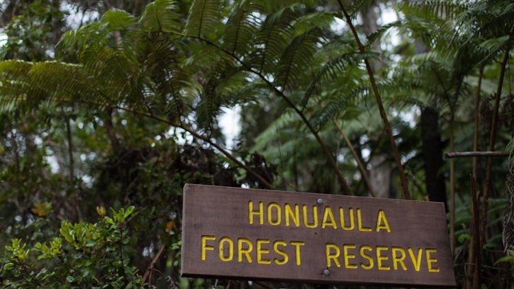 These Are Alternatives to Hawaii’s Volcanoes National Park