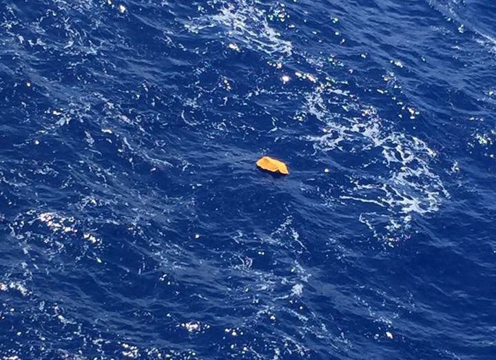 Wreckage from EgyptAir Airbus Crash Allegedly Spotted at Sea