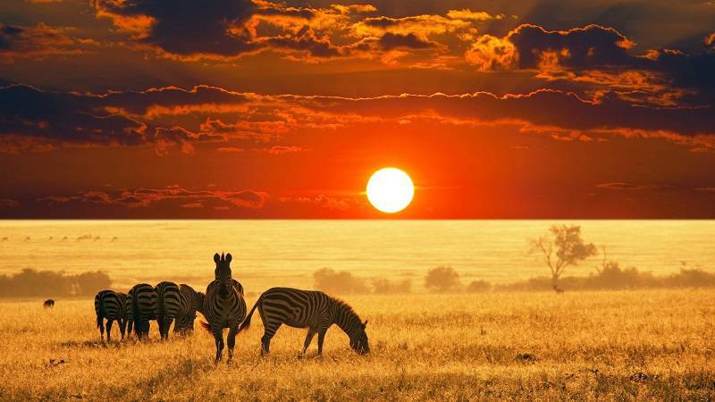 UNWTO: Africa Remains the Least Visited Continent