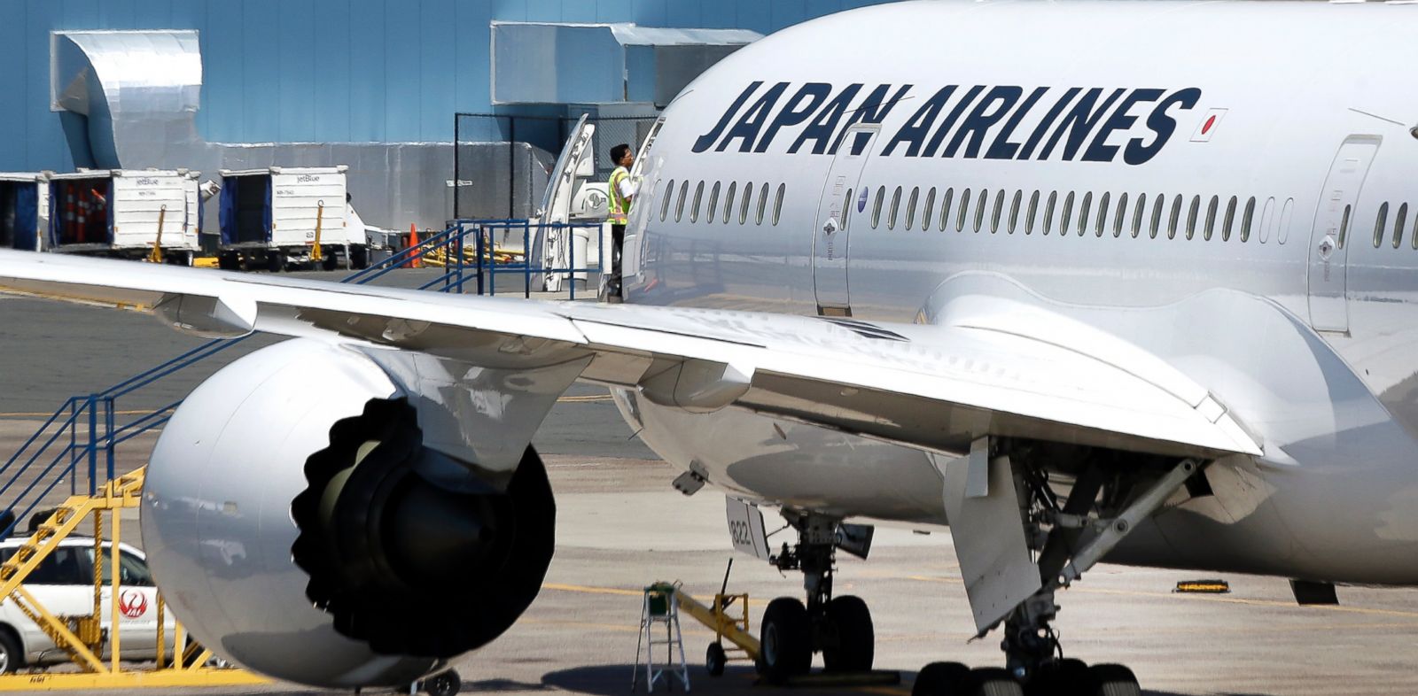 Japan Airlines Seeks Approval to Add Iberia to Joint Business 