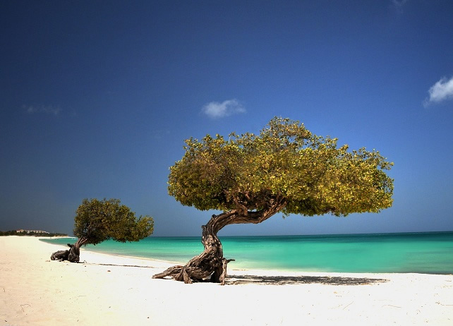 Aruba Tourism Posts Strong First Half of 2014