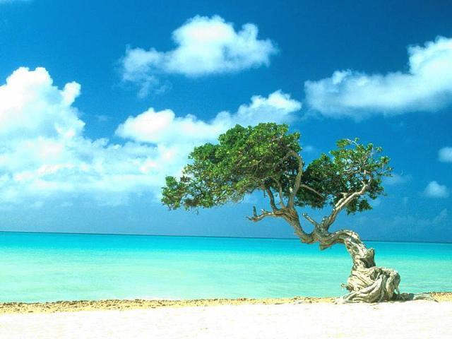 Aruba Celebrates One Million Stay-Over Visitors Milestone