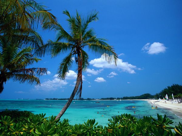 IMF Projects 1.9% Growth for Bahamas