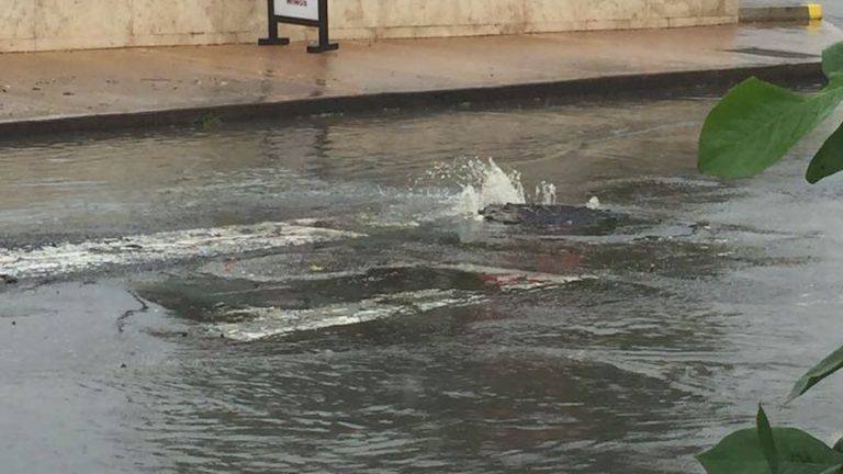 Sewage Overflow Sparks Travel Warning for Barbados