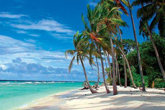 Barbados Touts its Low-Tax, Offshore Advantage