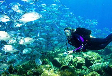 Cayman Islands Voted Top Scuba Diving Destination in the Caribbean, the Atlantic