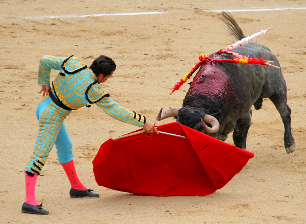 Spanish Move to Protect Bullfighting Is Disastrous for Tourism Industry