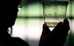 CDC Says Tourists Can Safely Visit High-Elevation Spots in Zika-Hit Countries
