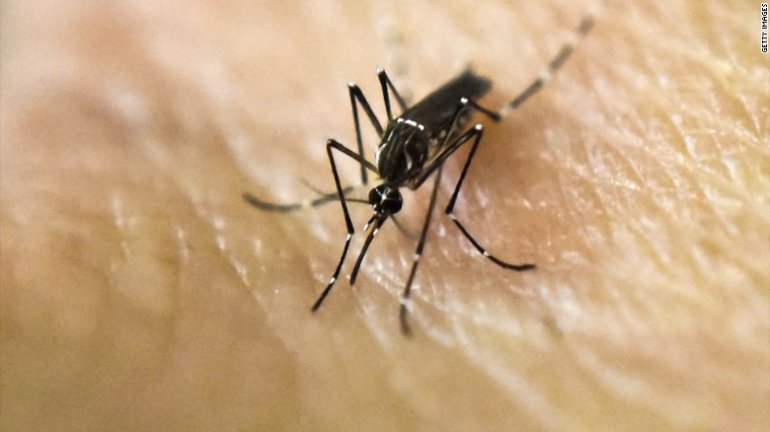 CDC Zika Travel Warning Raises Fears on the Cayman Islands