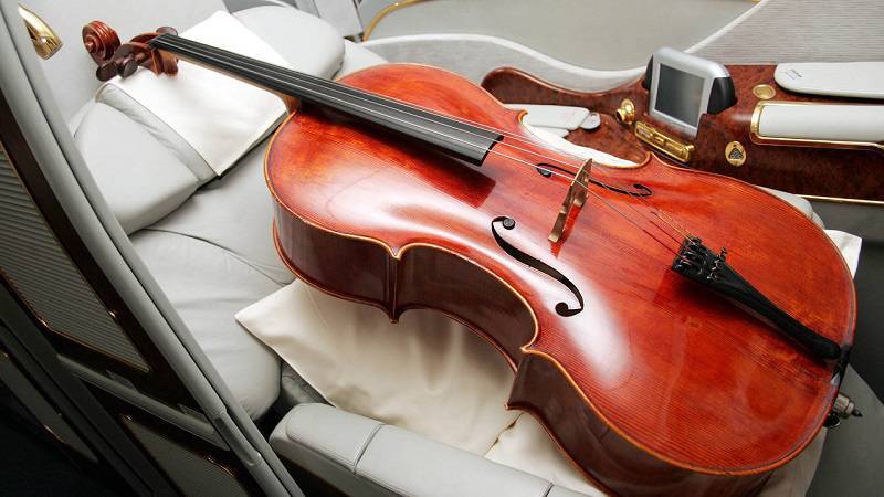 Musician Removed from AA Flight for Buying Seat for her Cello