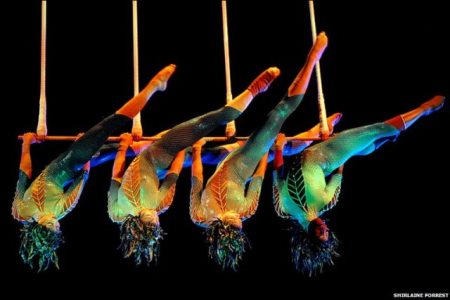 World's First Entertainment Park Animated by Cirque du Soleil