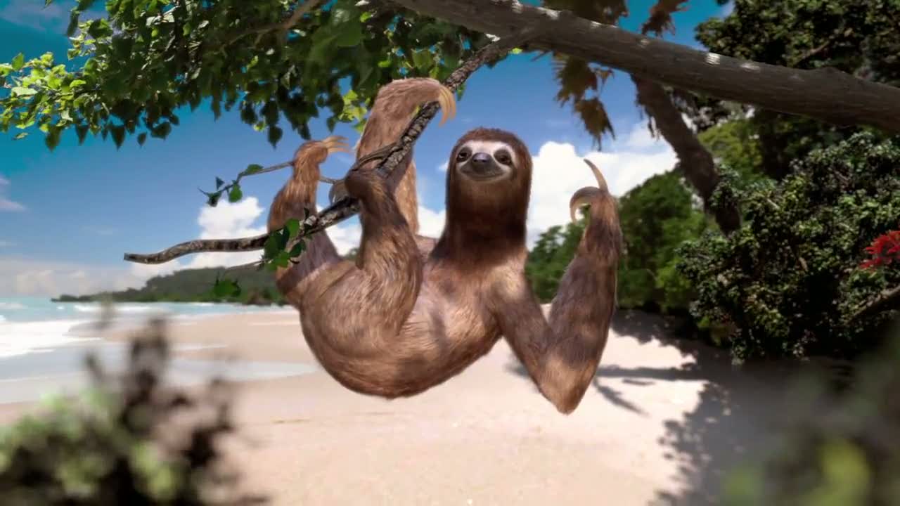 Resultado de imagen para tourist in costa rica