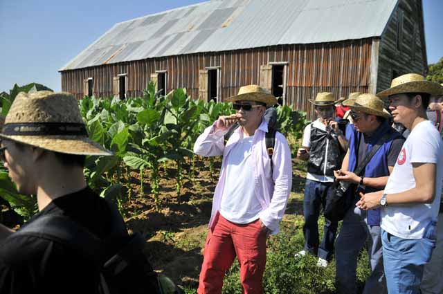 A Journey to the Land of the World’s Best Tobacco