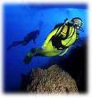 Grenada Aims to Become Dive Capital of East Caribbean