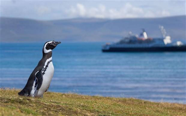 Record Breaking Arrivals as Visitors Flock to the Falkland Islands
