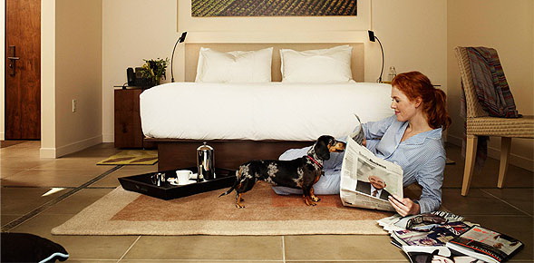 TripAdvisor Announces the 10 Highest-Rated Green Hotels in the U.S.