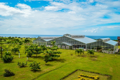 St Kitts-Nevis Opens Largest Greenhouse in the Caribbean