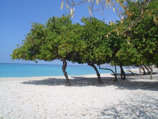 Haiti Bills Itself as the Next Caribbean Vacation Hotspot