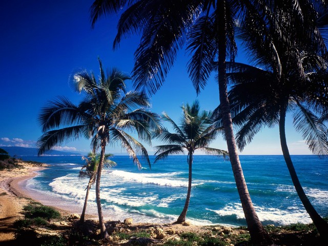 Haiti, Dominican Republic to Lead Caribbean Growth in 2014, 2015