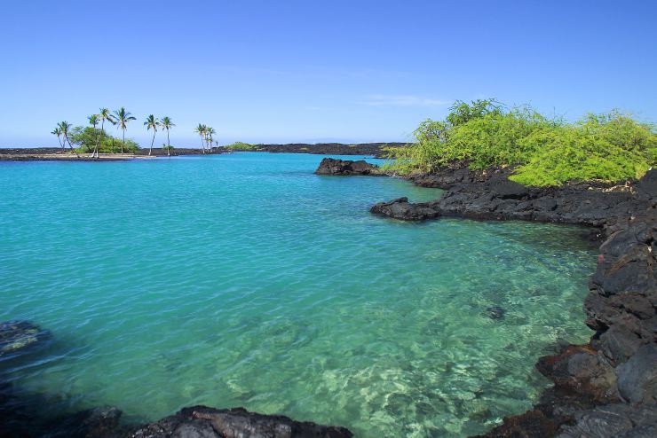 Hawaii's Big Island Declares State of Emergency Due to Dengue Fever
