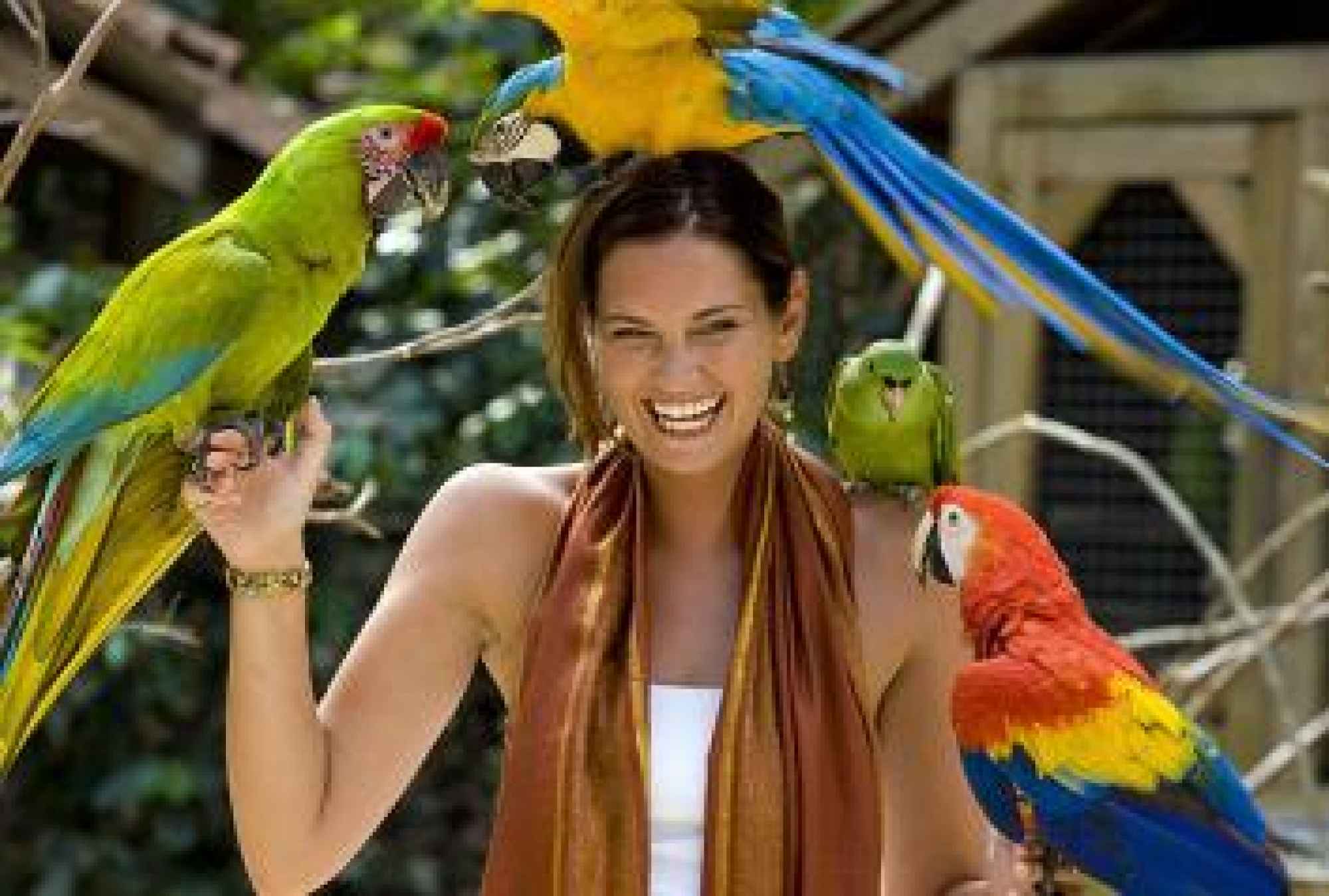 Honduras Named Top Travel Destination for 2016