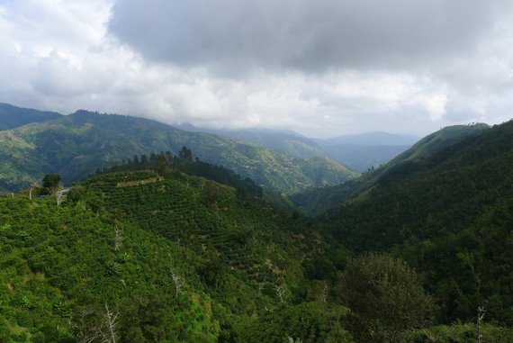 Jamaica's Blue and John Crow Mountains Named UNESCO World Heritage Sites