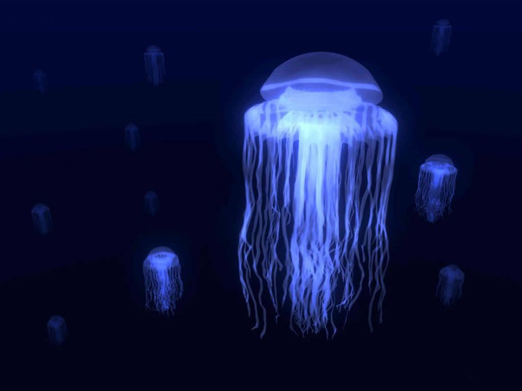 Jellyfish Wreak Havoc on Travel Destinations
