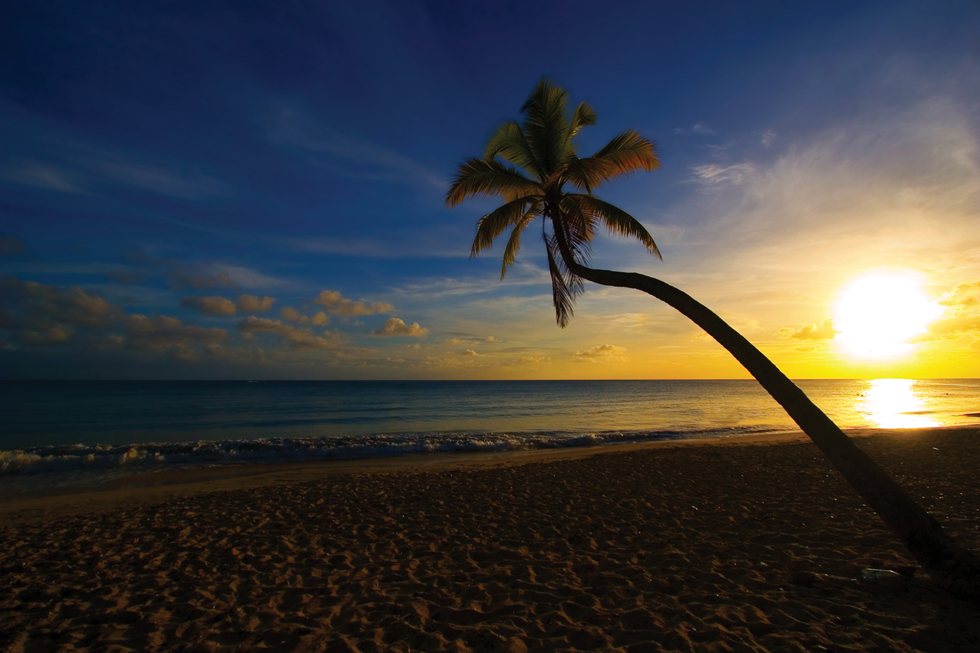 New Martinique Tourism Authority Leaders Not Concerned About Cuba