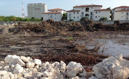 Mexican Court Rules against Development in Cancun Mangrove