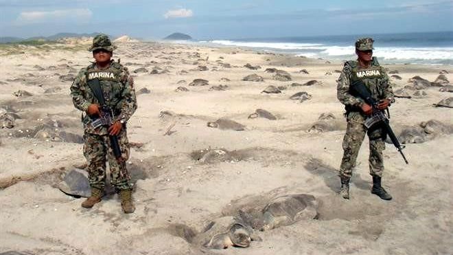 Bad Media Hype Keeps Hurting Mexico’s Travel Industry