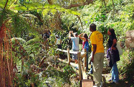 ACS Support for Sustainable Tourism