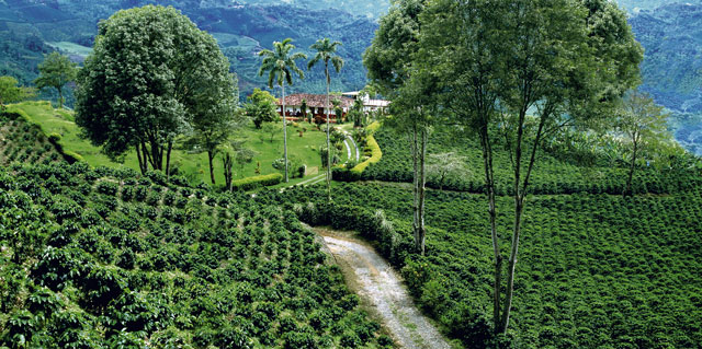 Colombian Tourism Promotion Body Rebrands as Procolombia