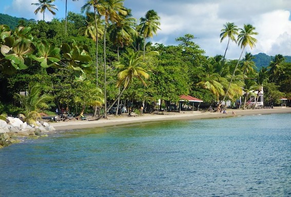 OECS, UN World Tourism Organization Sign Memorandum of Understanding