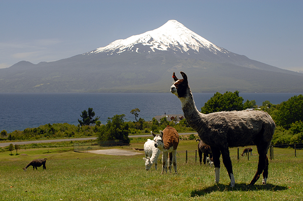 Chilean Destination Completes “Early Adopter” Assessment of GSTC