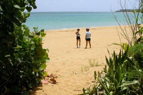 Puerto Rico Creates Nature Reserve in North Coast